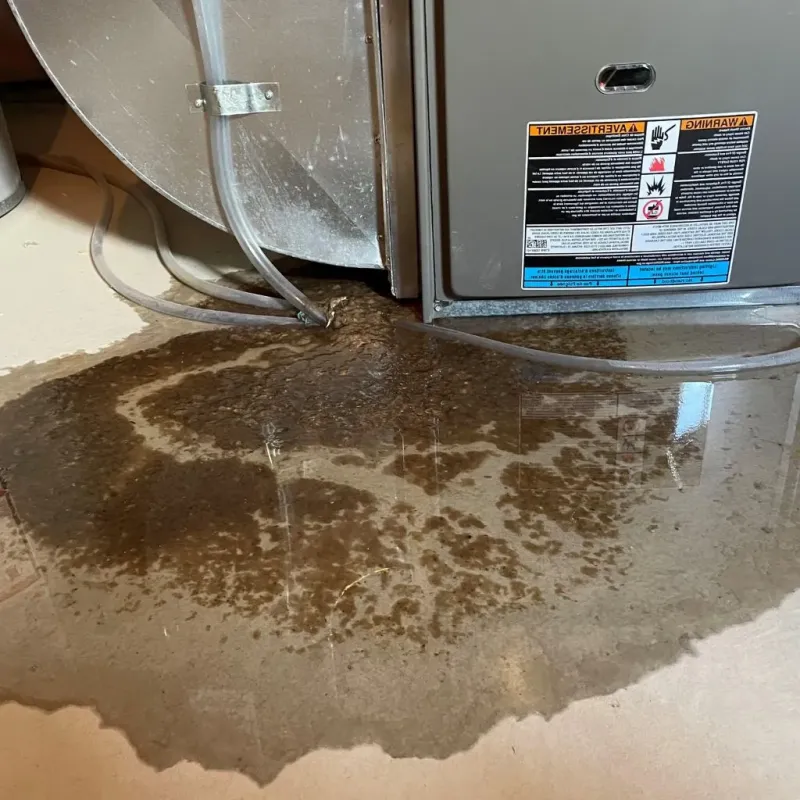 Pipe Burst and Leak Restoration in Bladenboro, NC