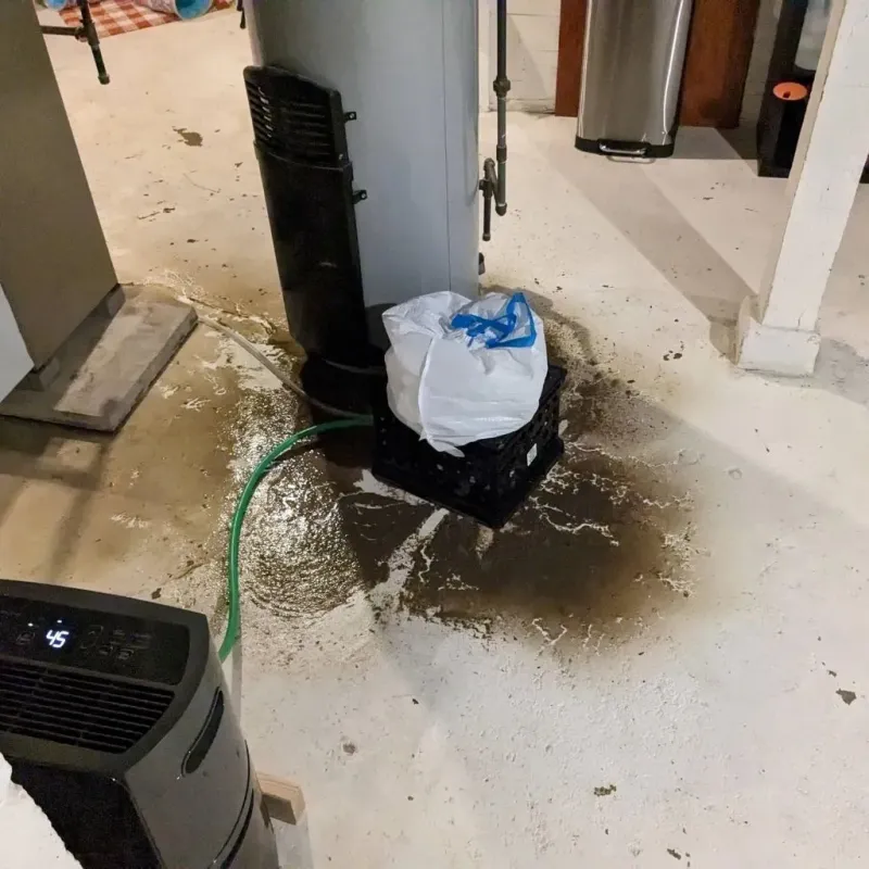 Sewage Backup Cleanup Service in Bladenboro, NC
